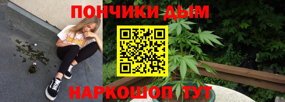 Бошки марихуана план Дербент